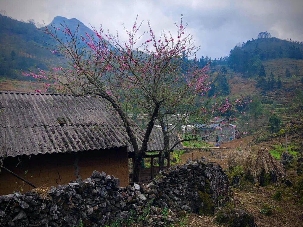  Traditional house of Hmong Ethnic group