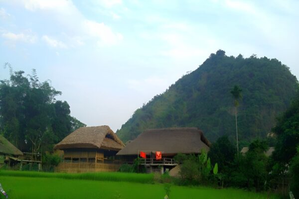 Ha Thanh village 3