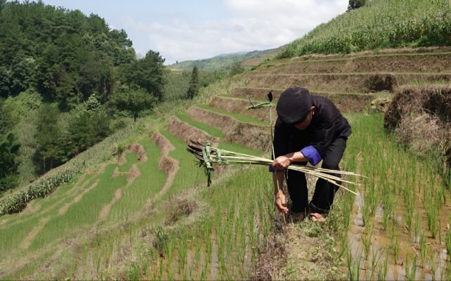 hmong people 9